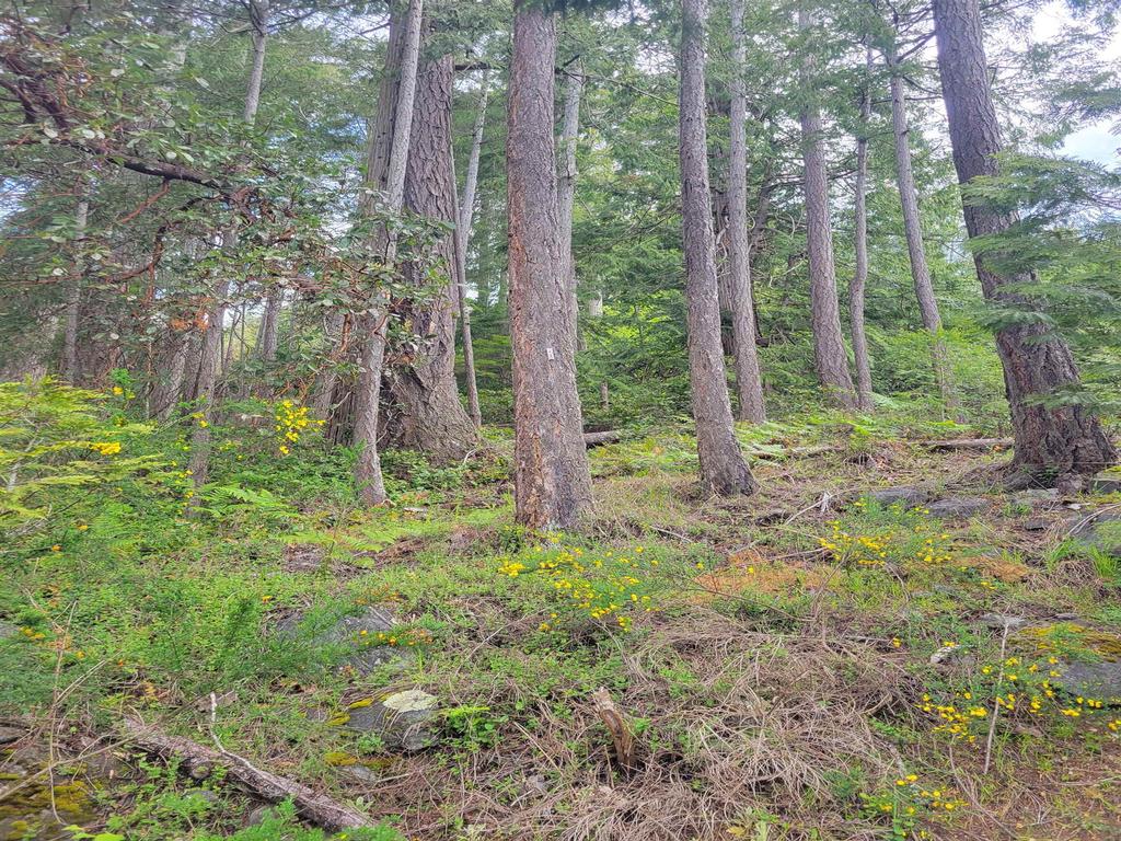 Listing Image for R3101108