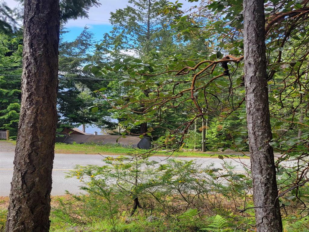 Listing Image for R3101108