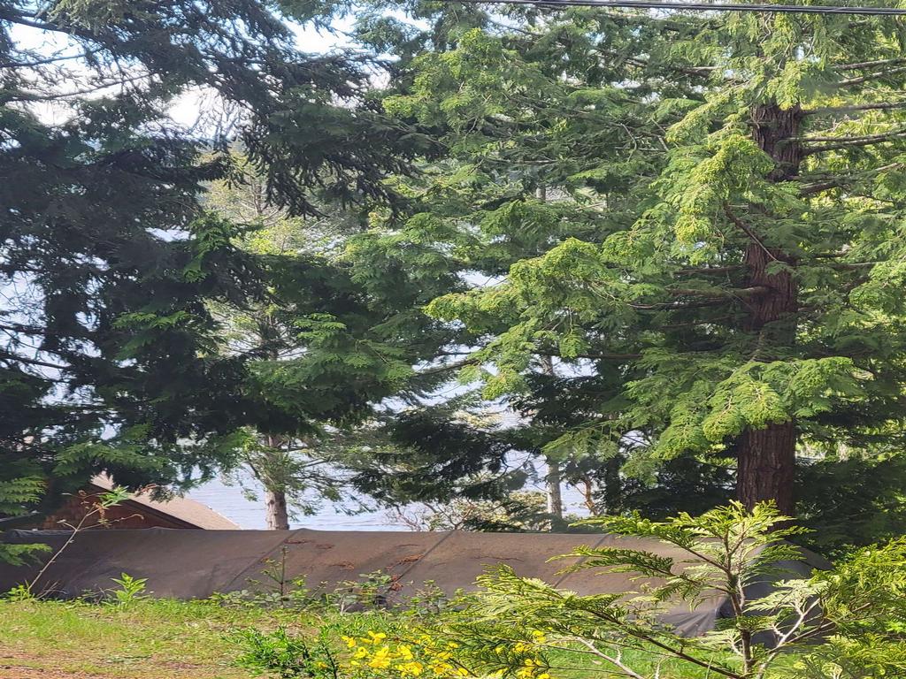 Listing Image for R3101108