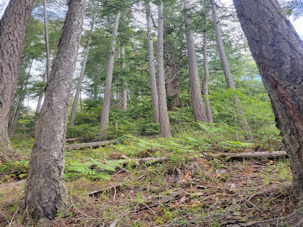 Listing Image for R3101108