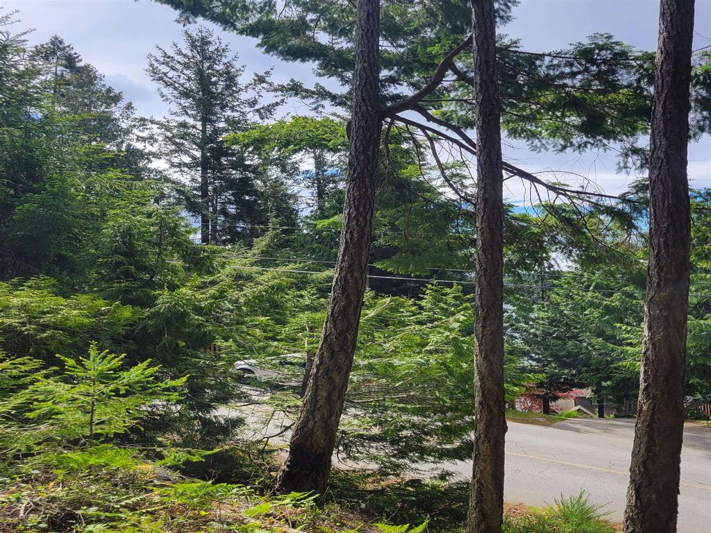 Listing Image for R3101108