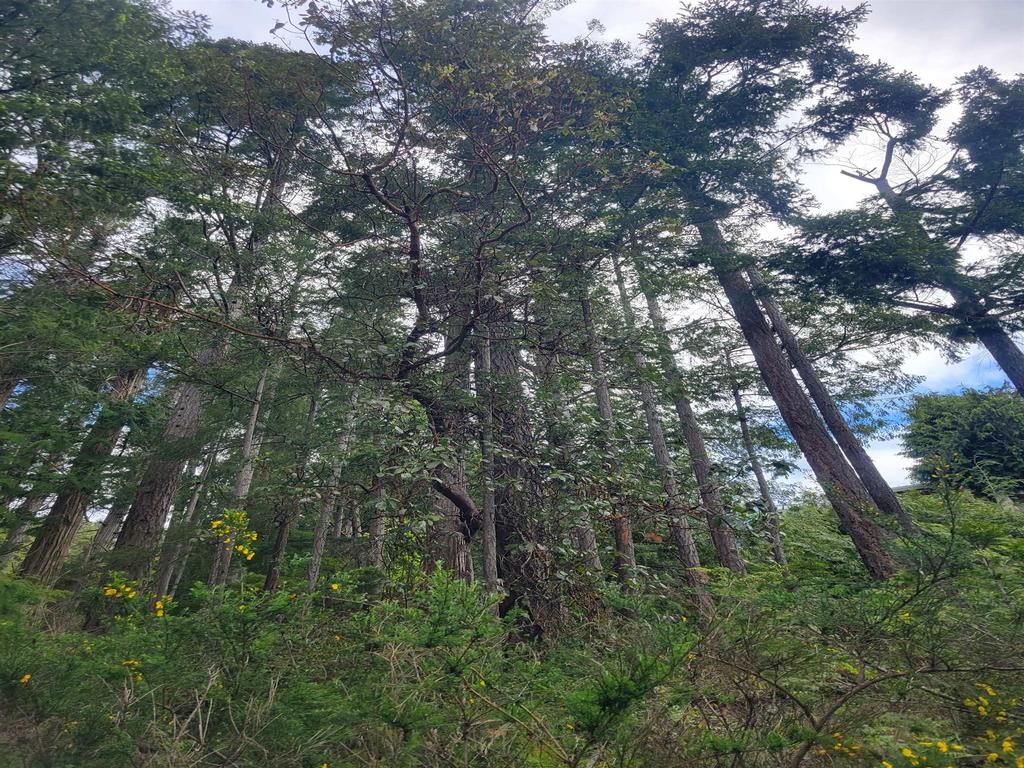 Listing Image for R3101108