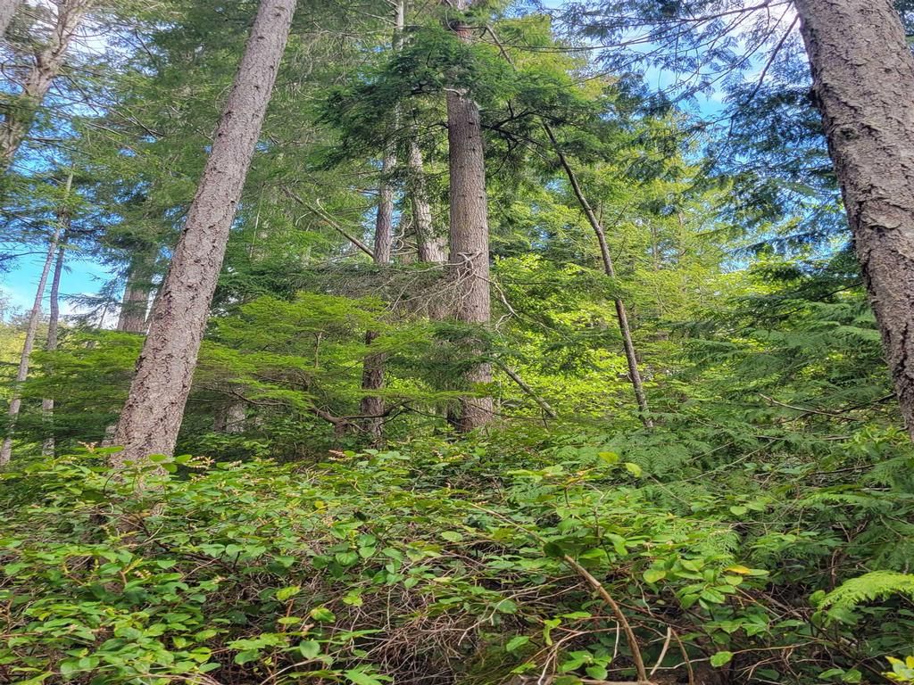 Listing Image for R3101108