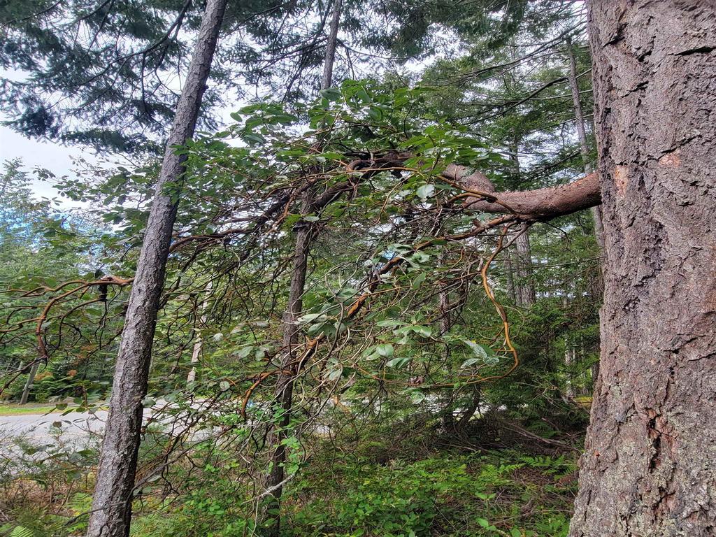 Listing Image for R3101108