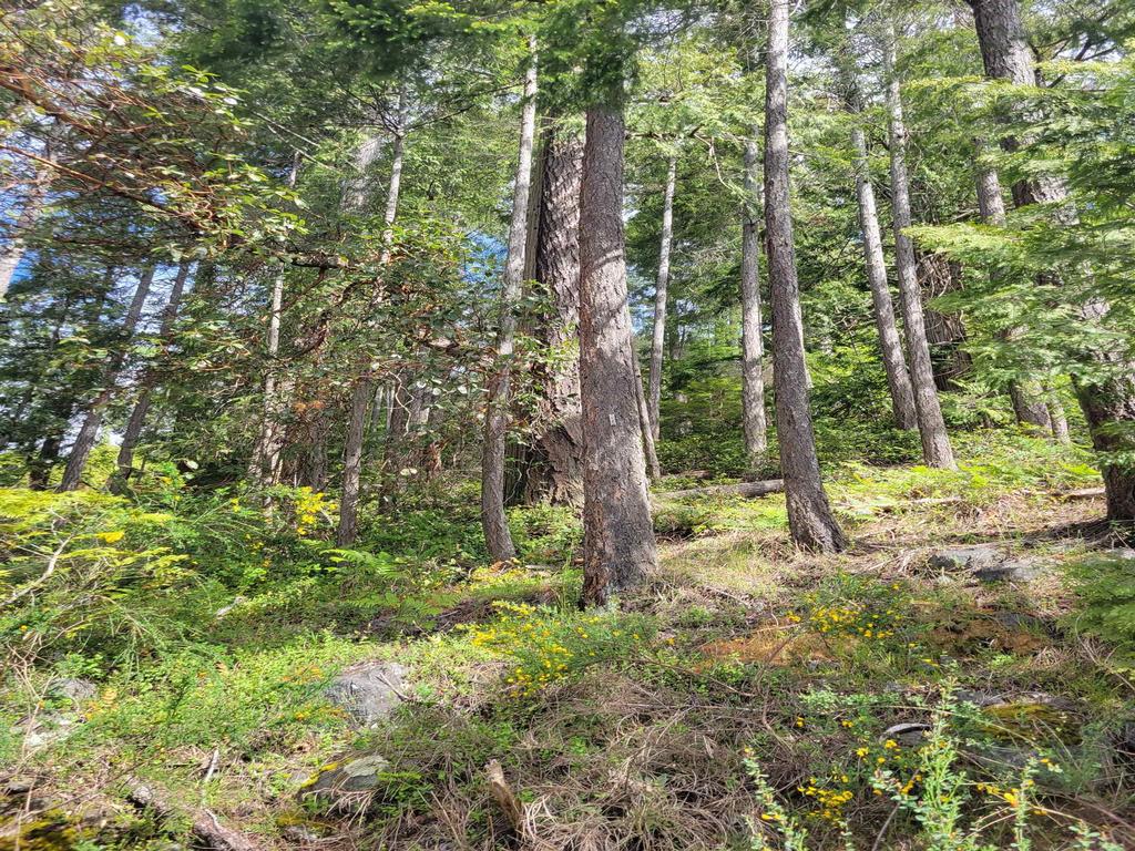 Listing Image for R3101108