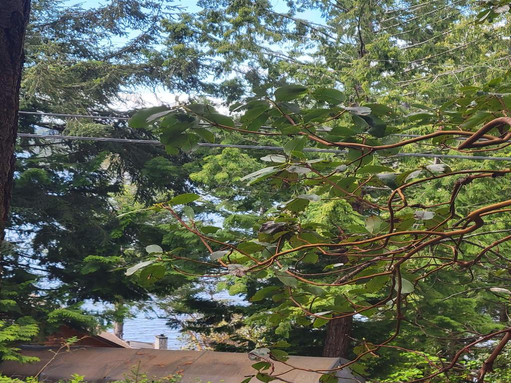 Listing Image for R3101108