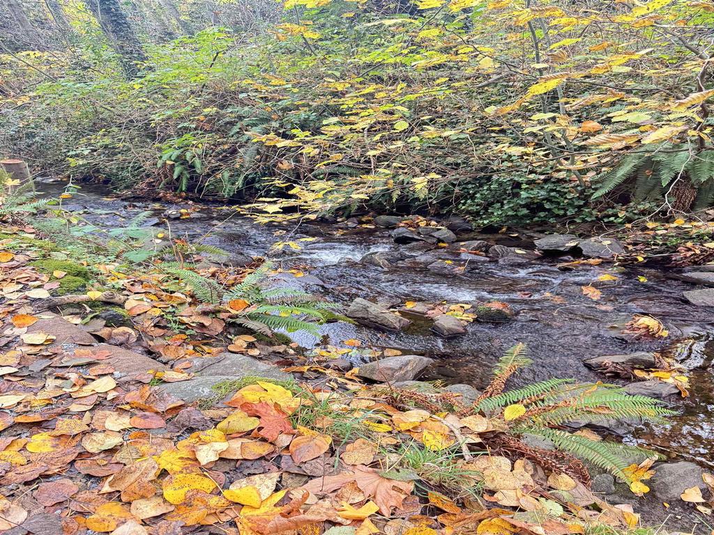 Listing Image for R3101237