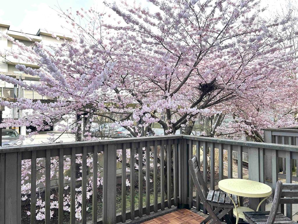 Listing Image for R3101368