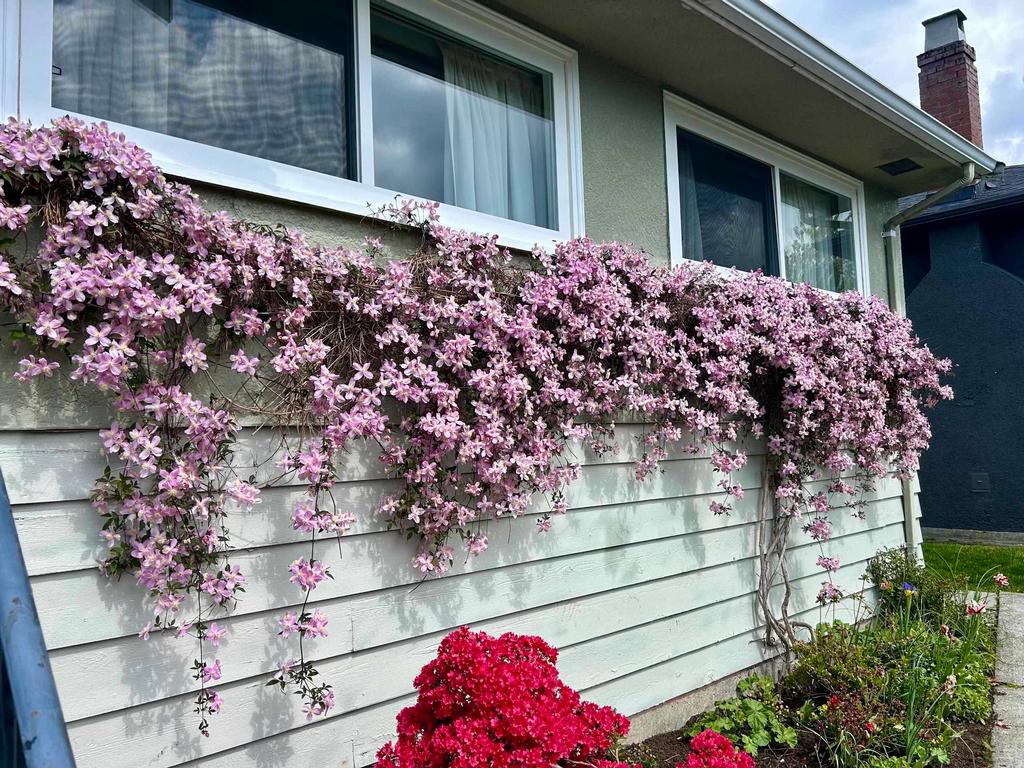 Listing Image for R3101725