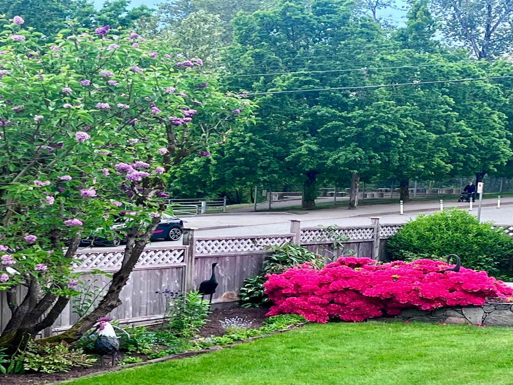 Listing Image for R3101725