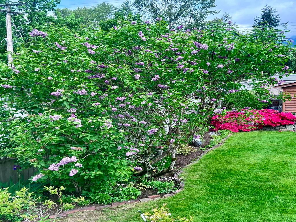 Listing Image for R3101725