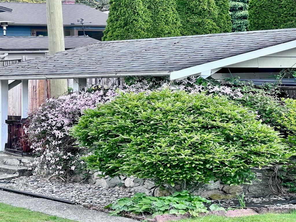 Listing Image for R3101725