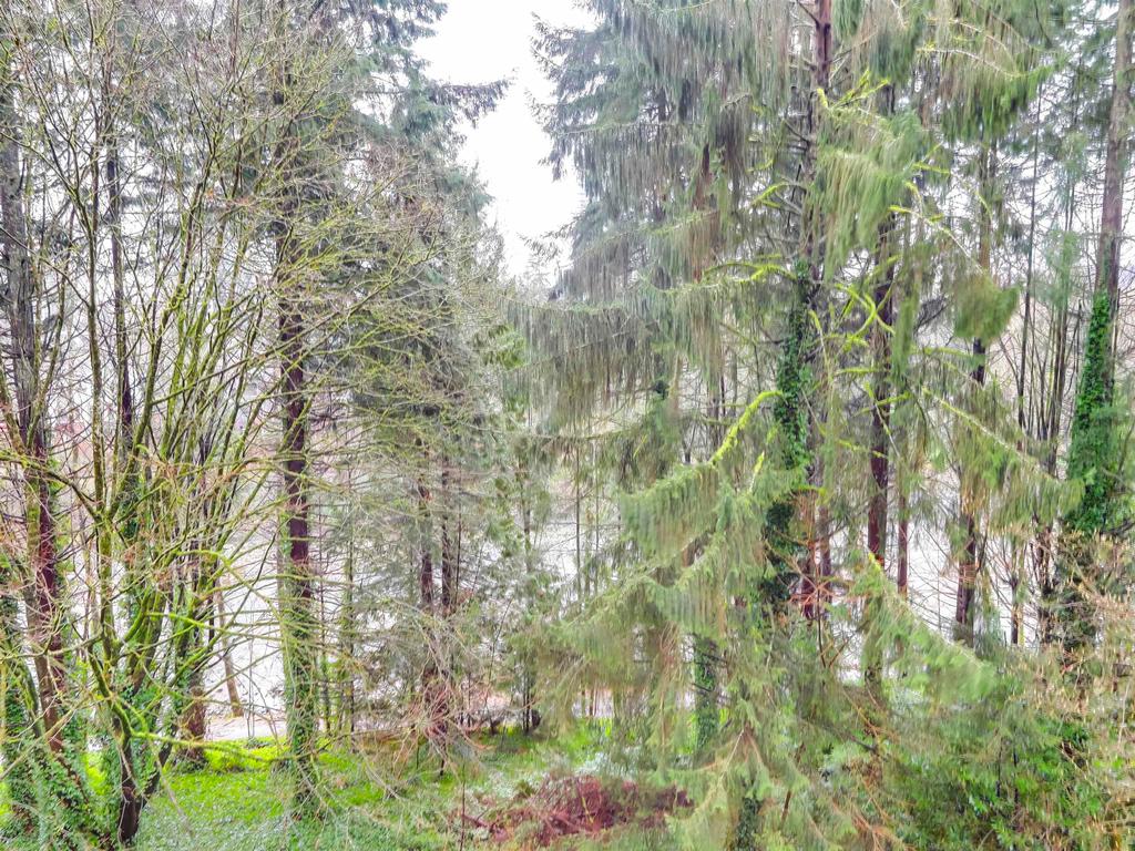 Listing Image for R3101746