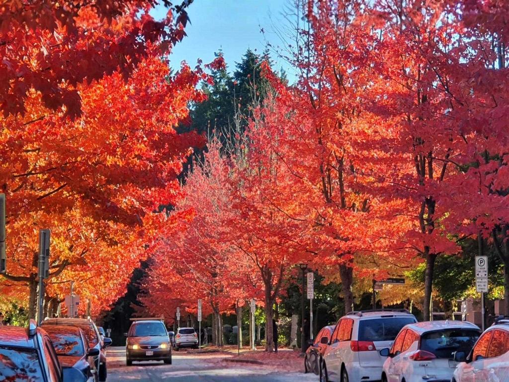 Listing Image for R3101831