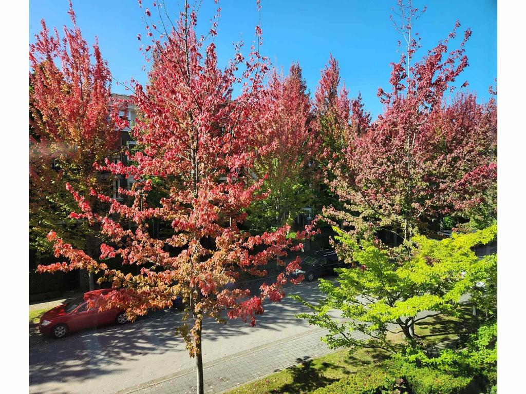 Listing Image for R3101831