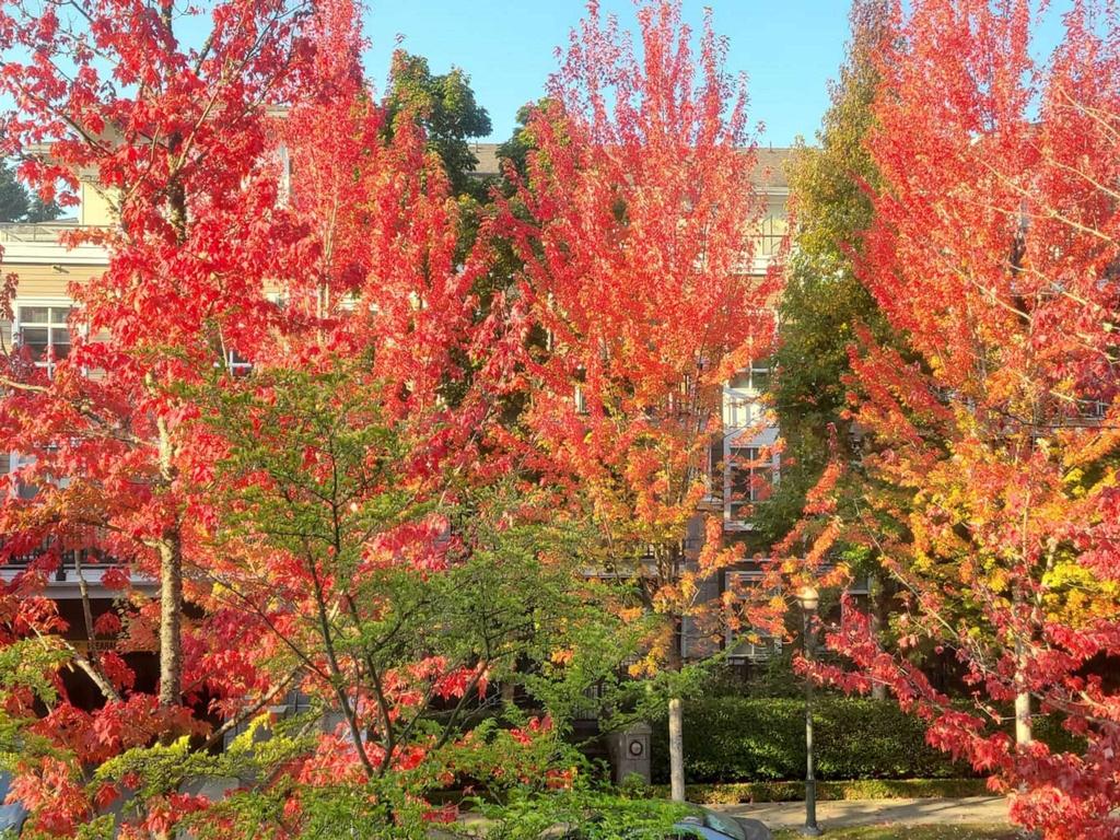 Listing Image for R3101831