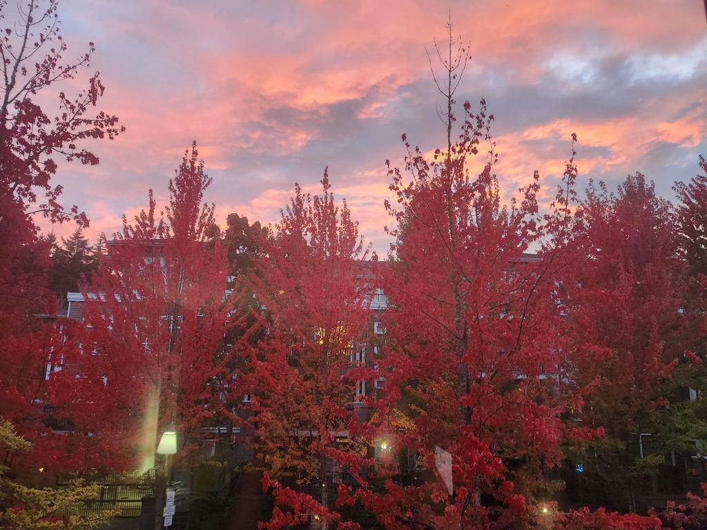 Listing Image for R3101831