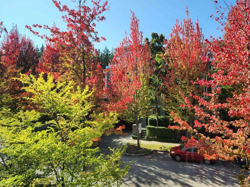 Listing Image for R3101831