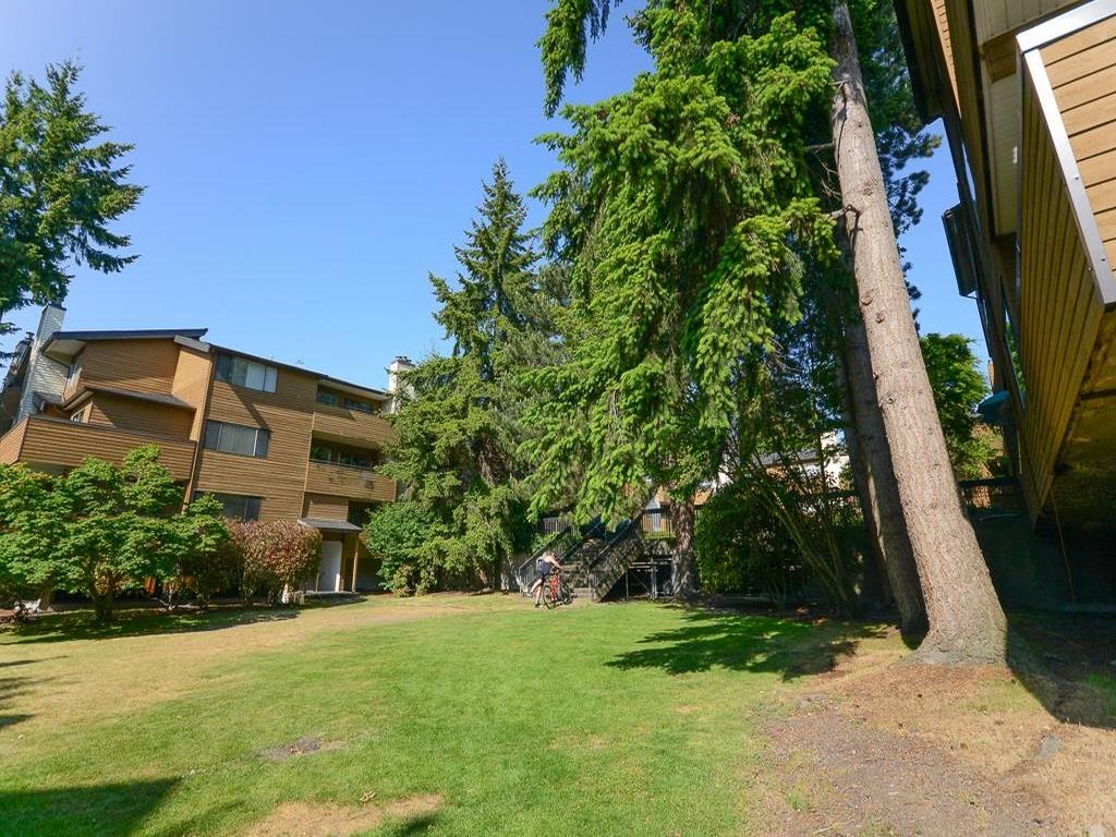 Listing Image for R3101981