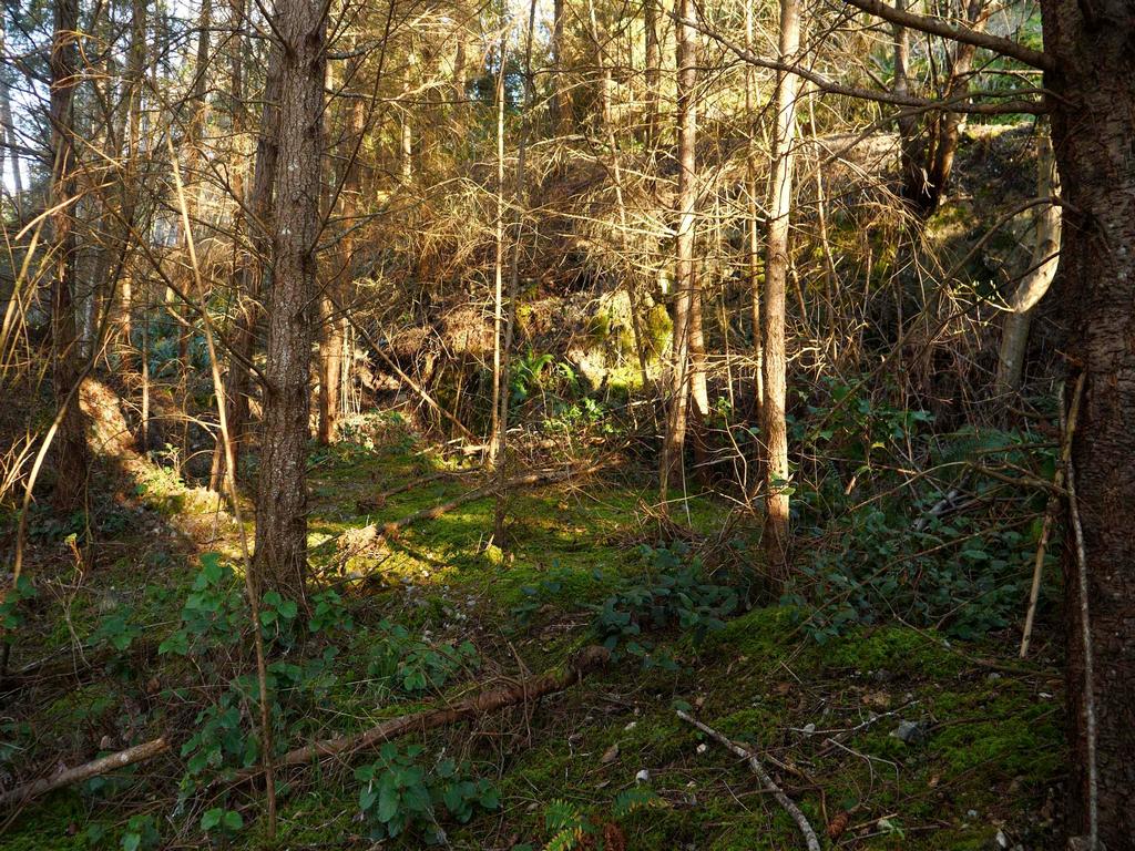 Listing Image for R3102287