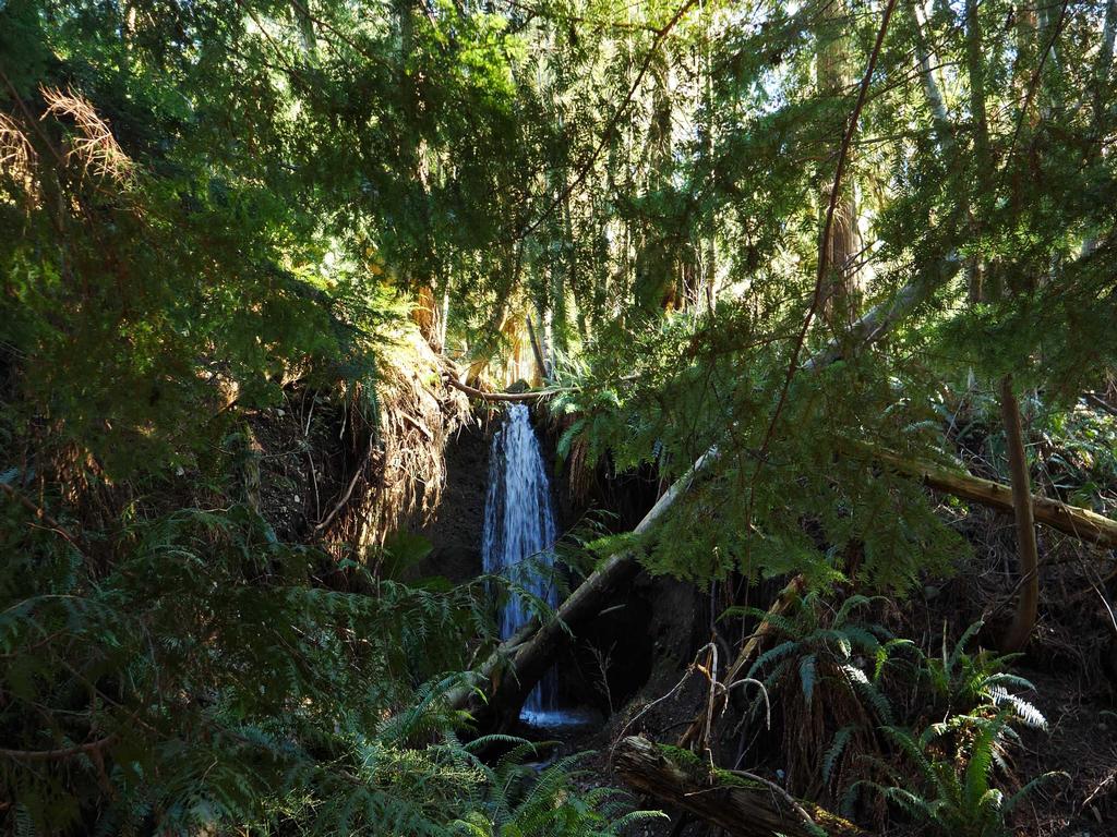 Listing Image for R3102580