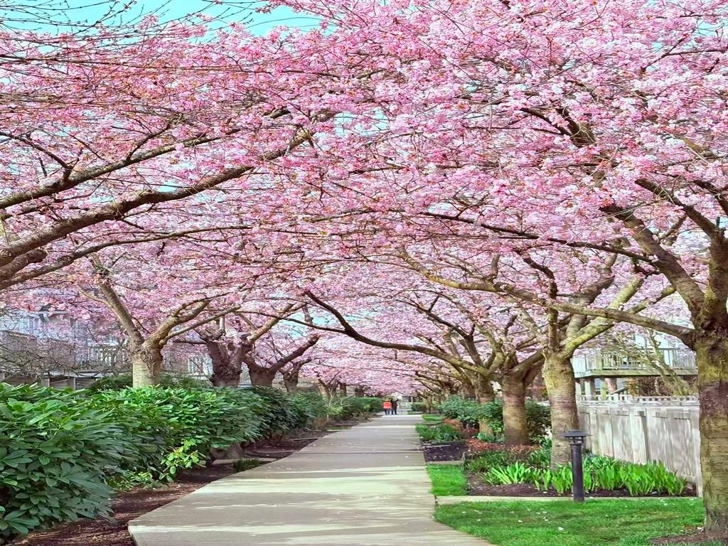 Listing Image for R3102794