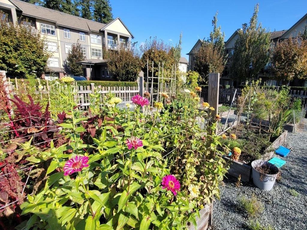 Listing Image for R3103065