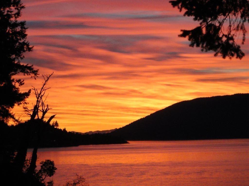 Listing Image for R3103173