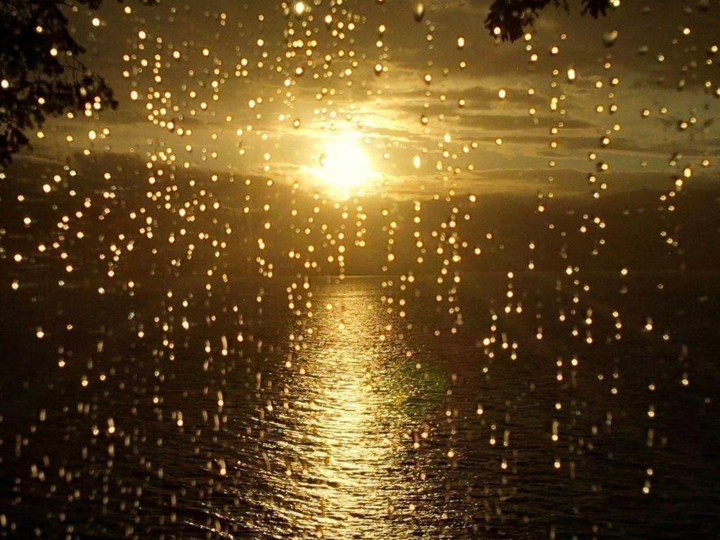 Listing Image for R3103173