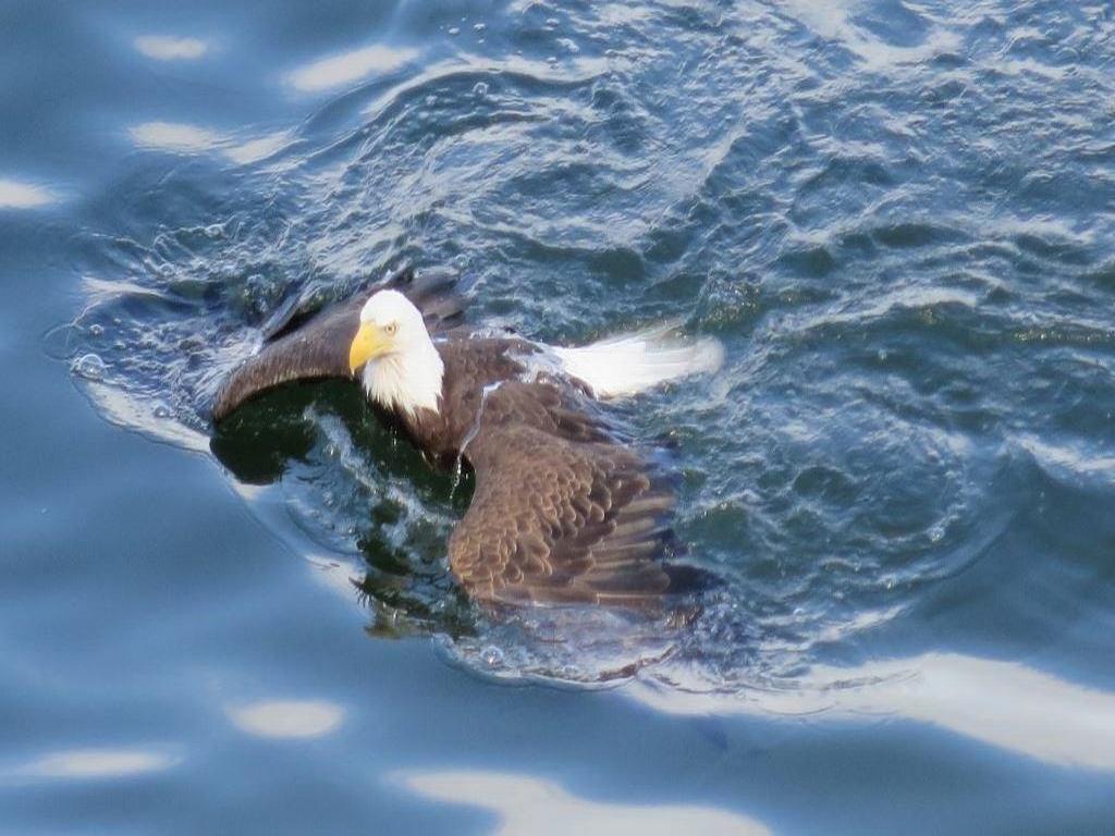 Listing Image for R3103173