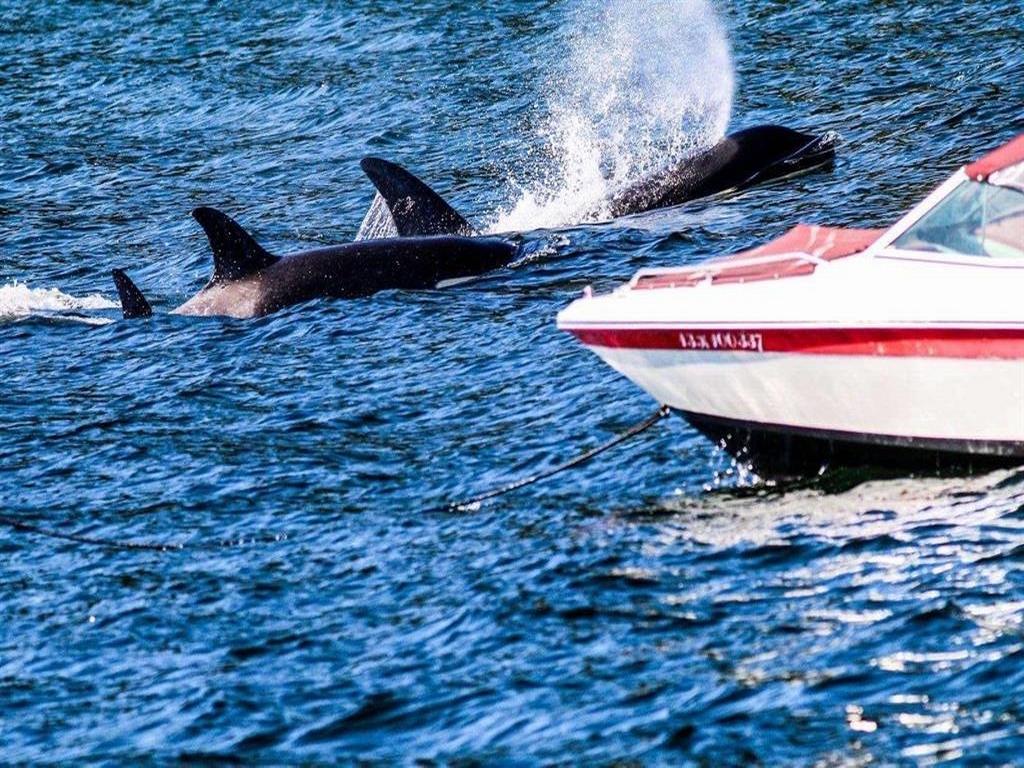 Listing Image for R3103173