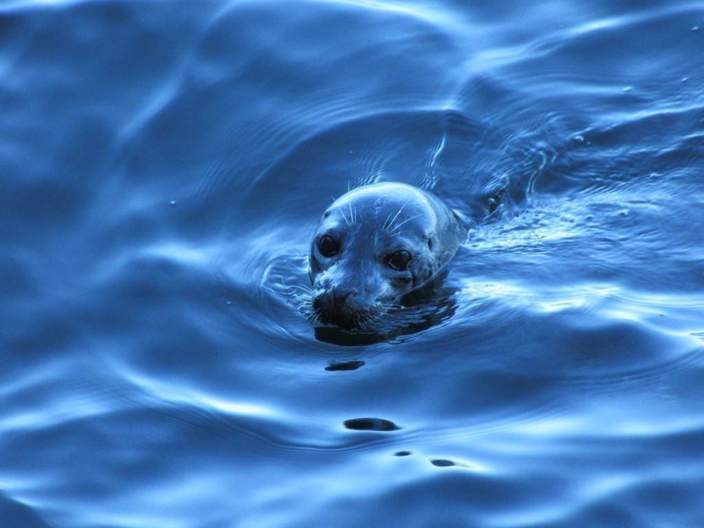 Listing Image for R3103173