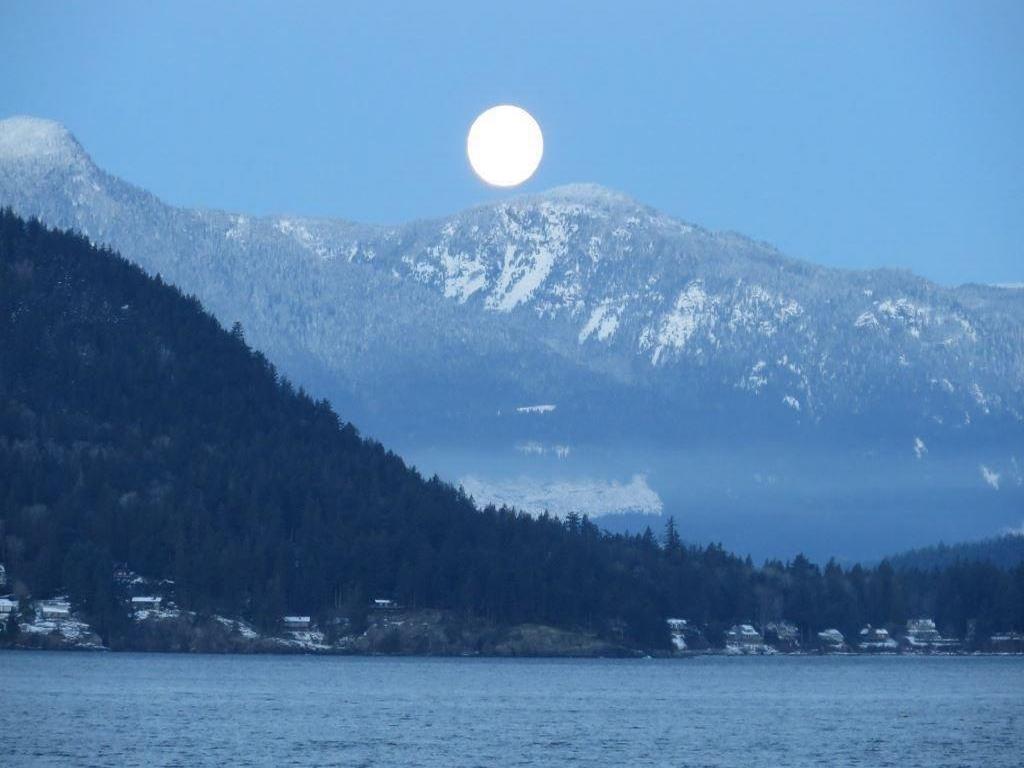 Listing Image for R3103173