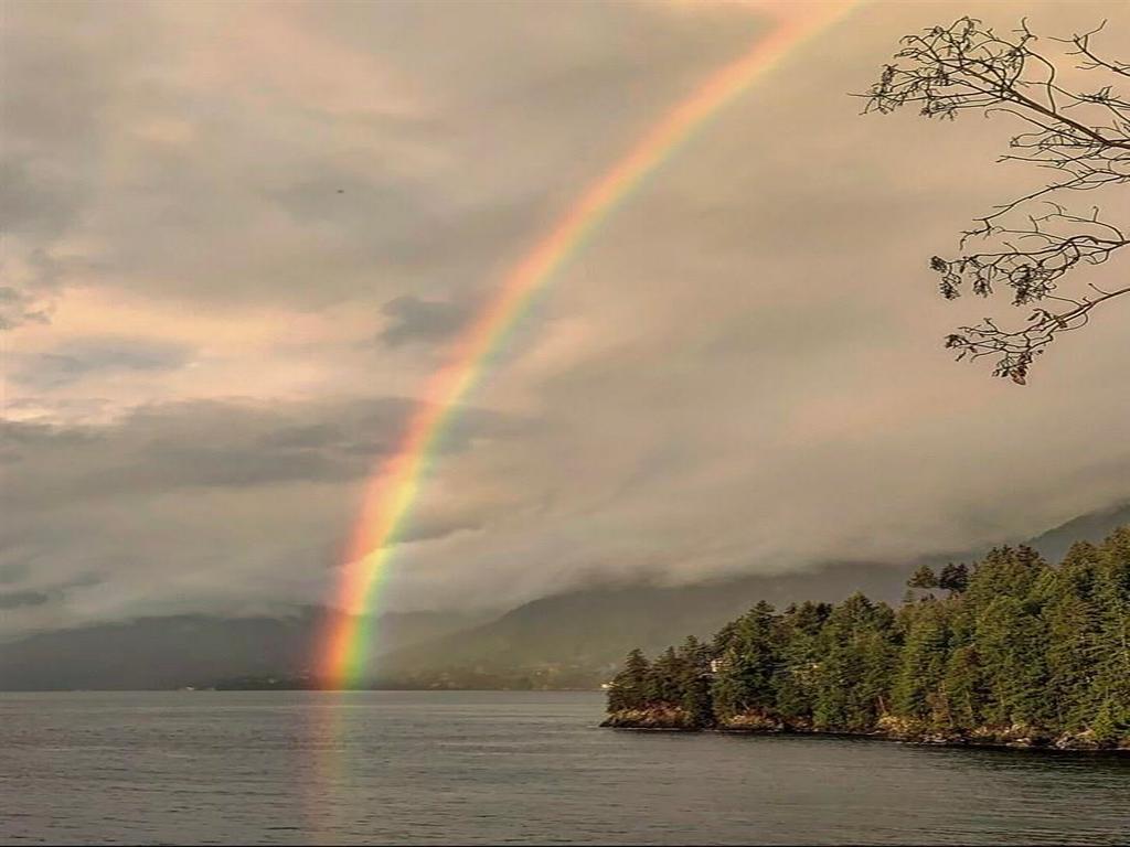 Listing Image for R3103173