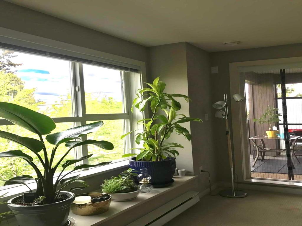 Listing Image for R3103483