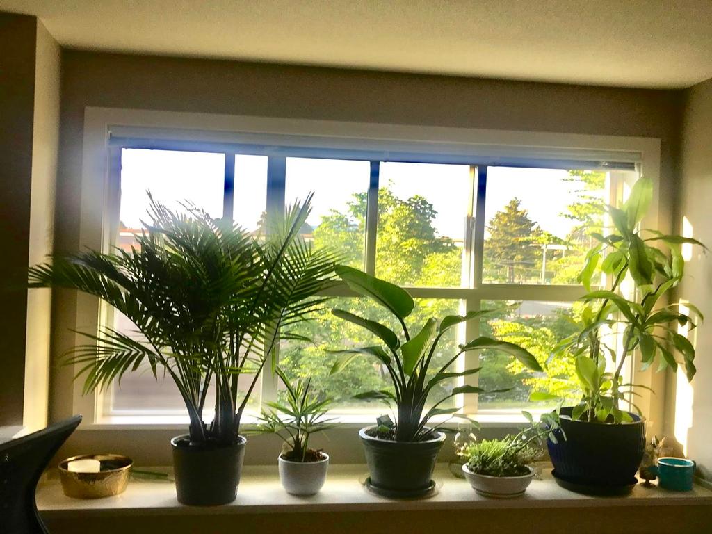 Listing Image for R3103483