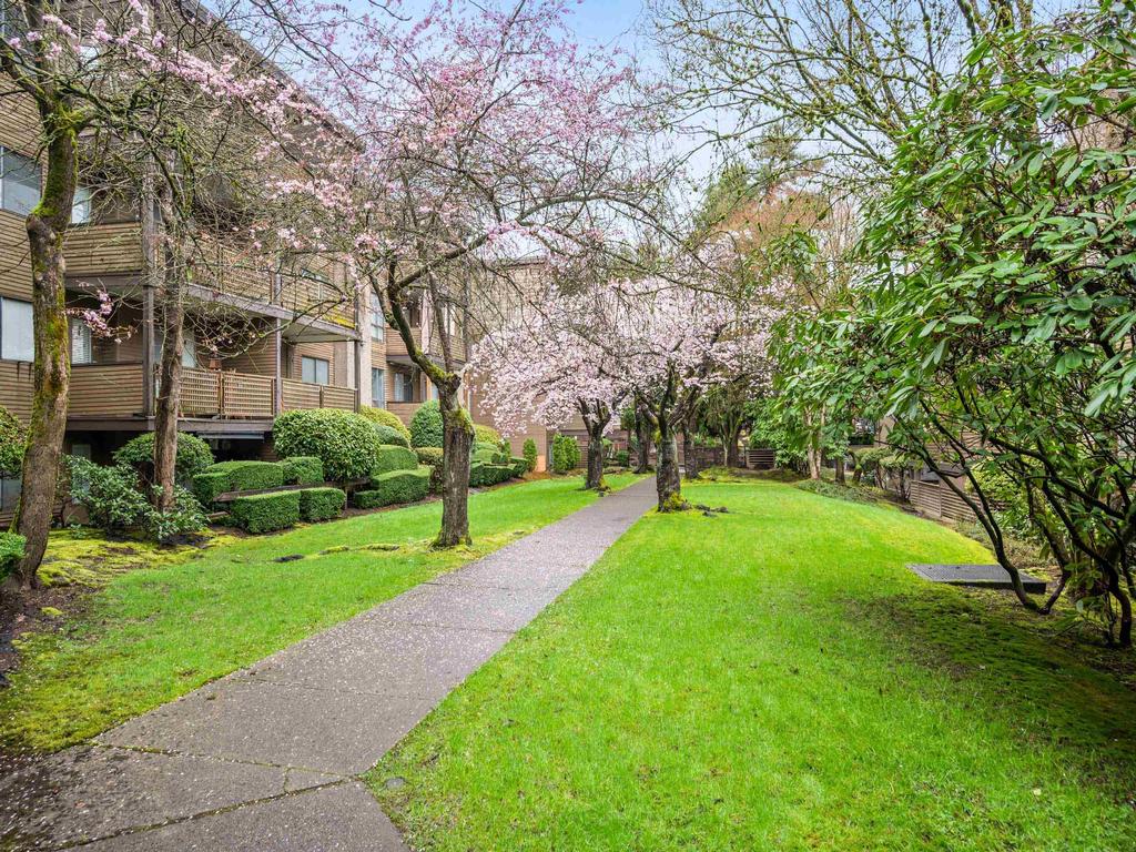 Listing Image for R3103490