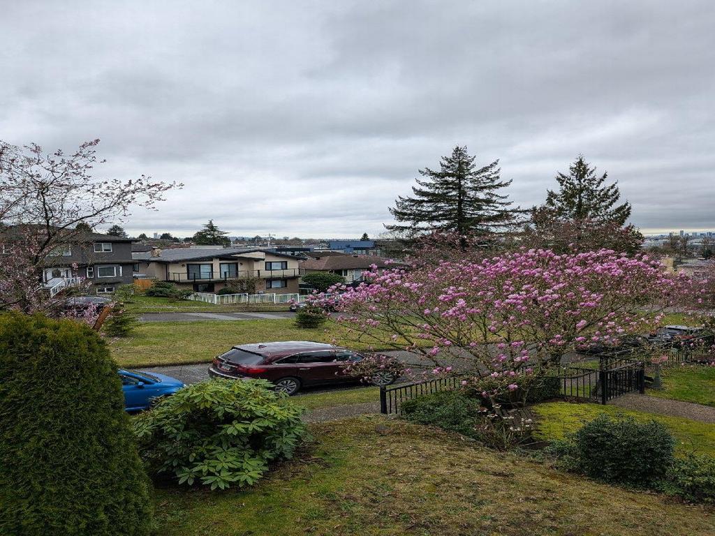 Listing Image for R3103814