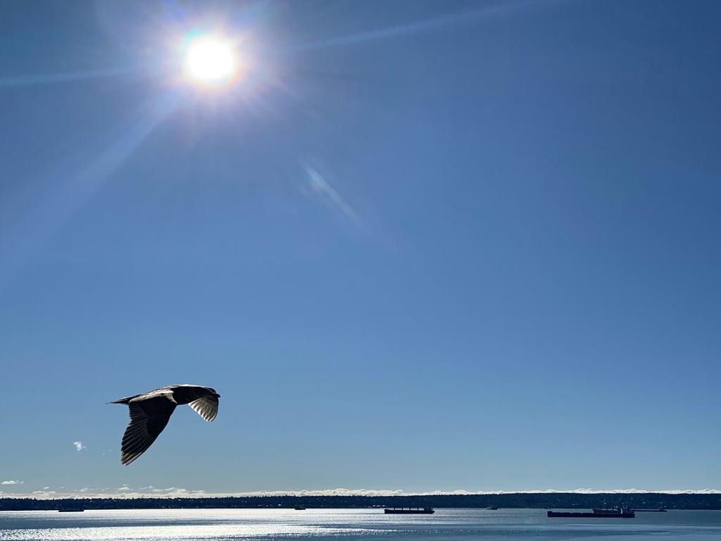 Listing Image for R3104026