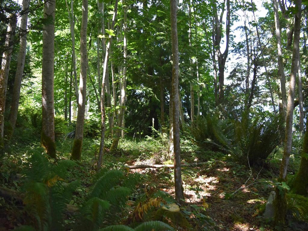 Listing Image for R3104082