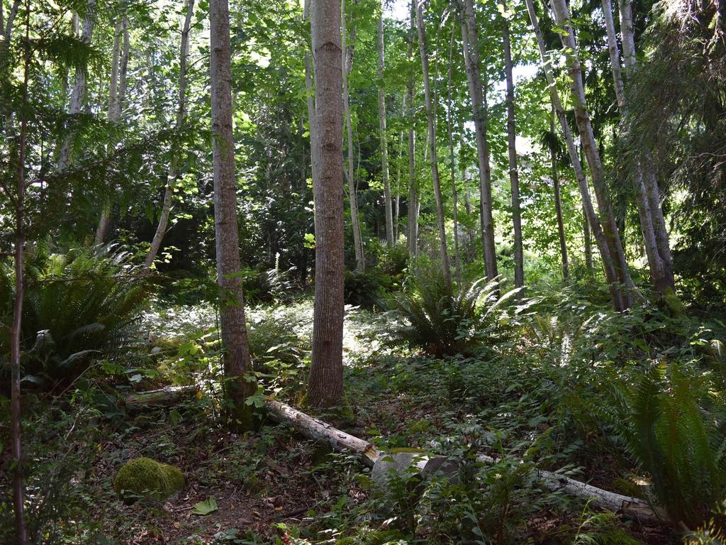 Listing Image for R3104082