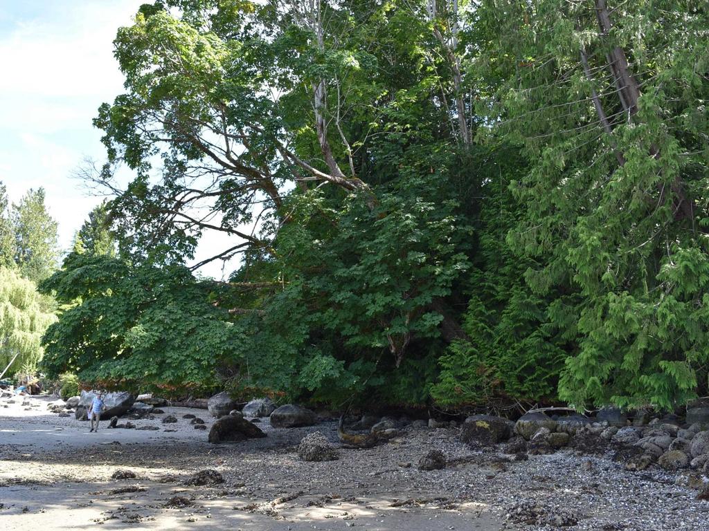 Listing Image for R3104082