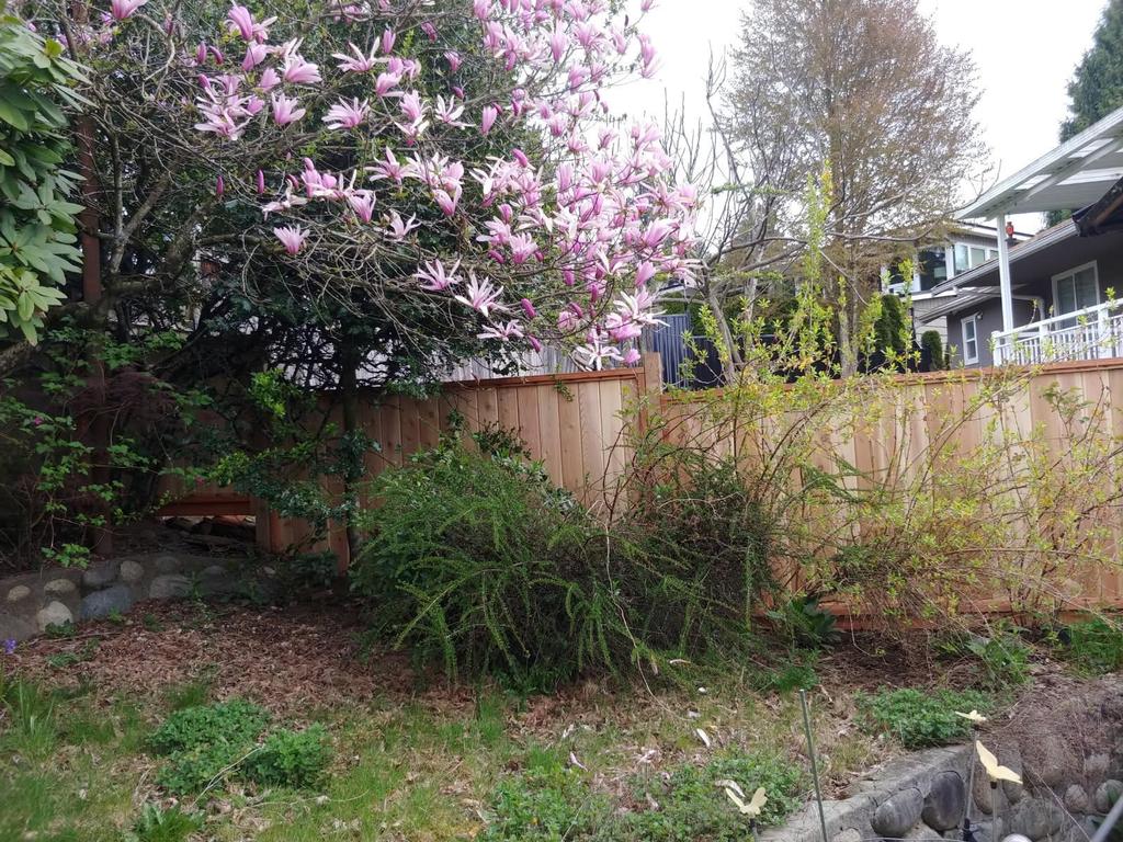 Listing Image for R3104308