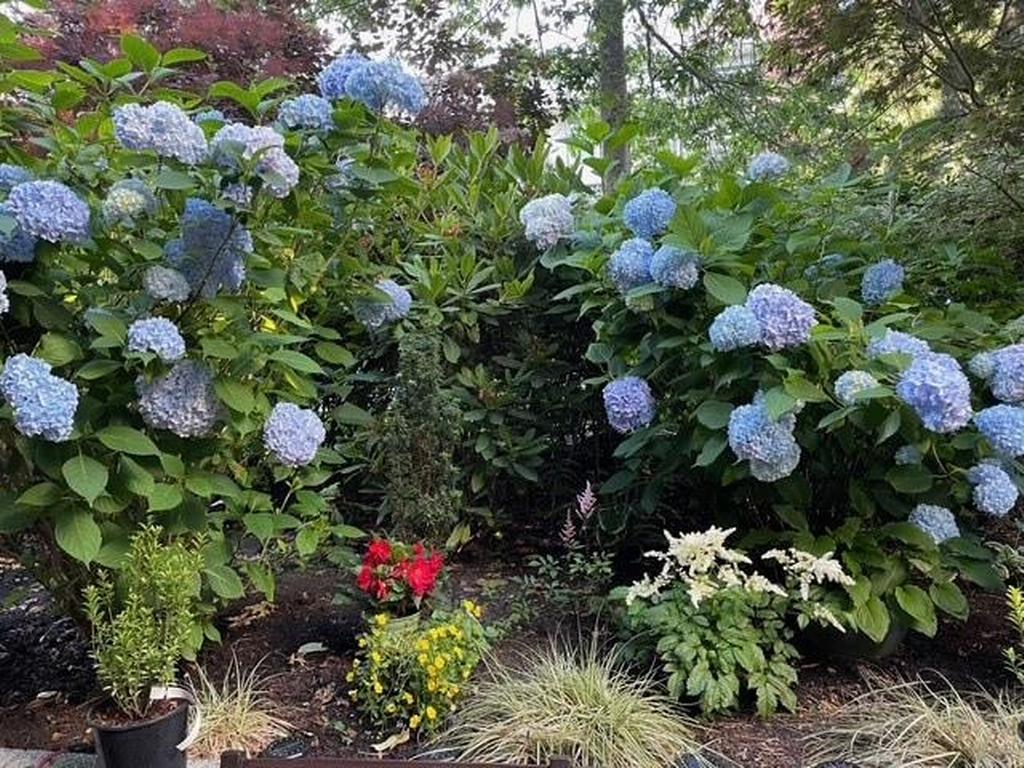 Listing Image for R3104680