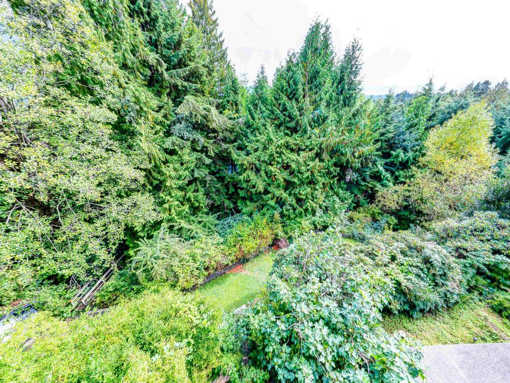 Listing Image for R3104723