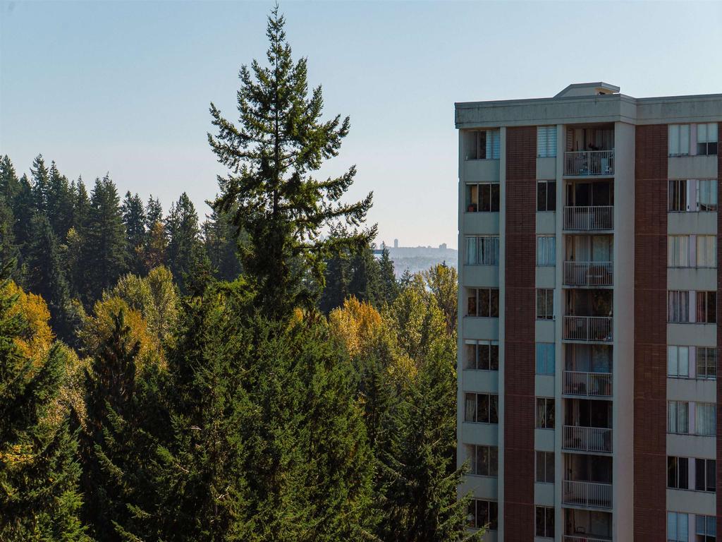 Listing Image for R3104735