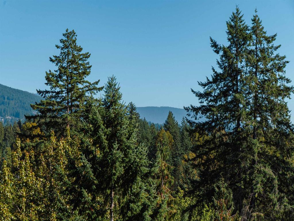 Listing Image for R3104735