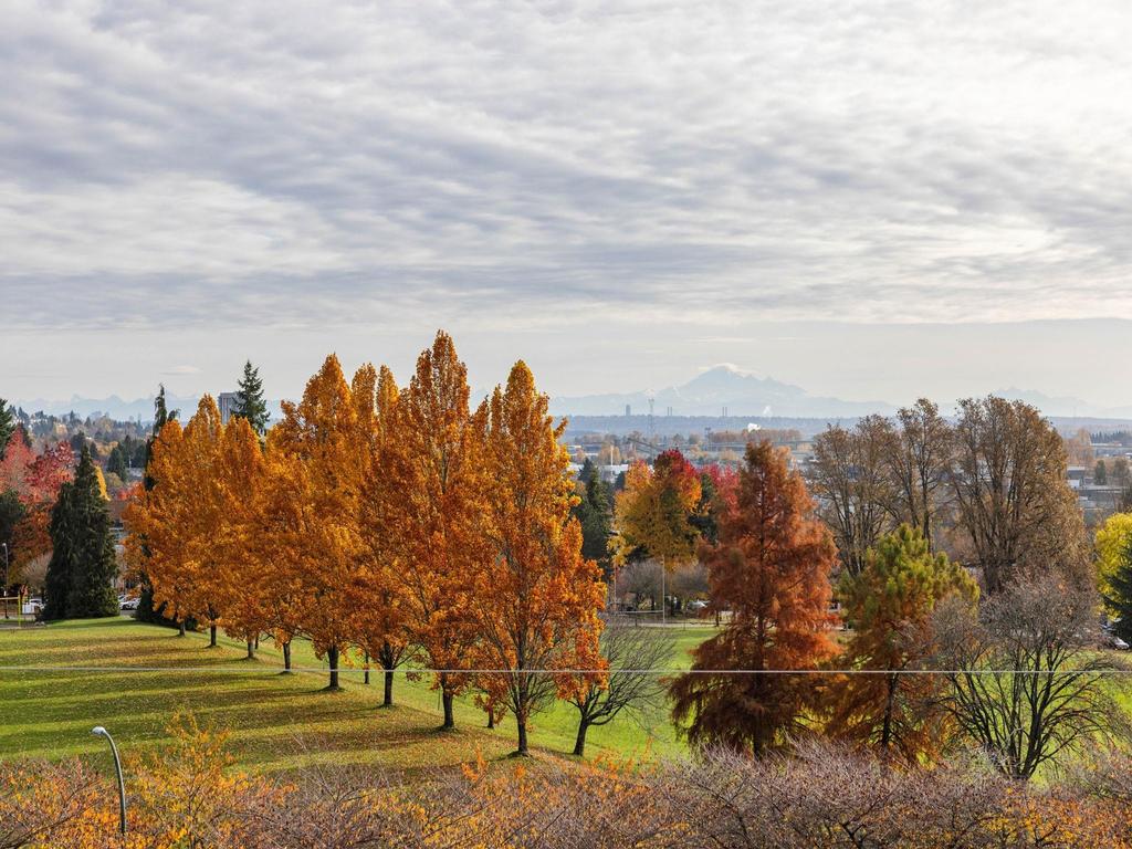 Listing Image for R3104825