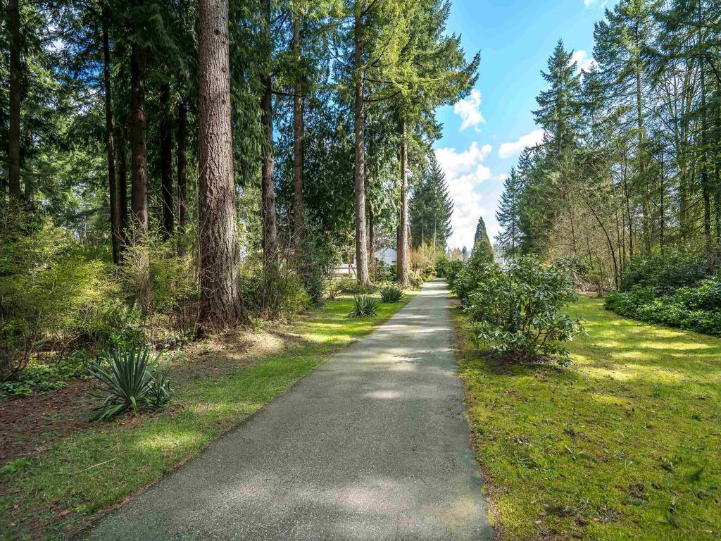 Listing Image for R3105082