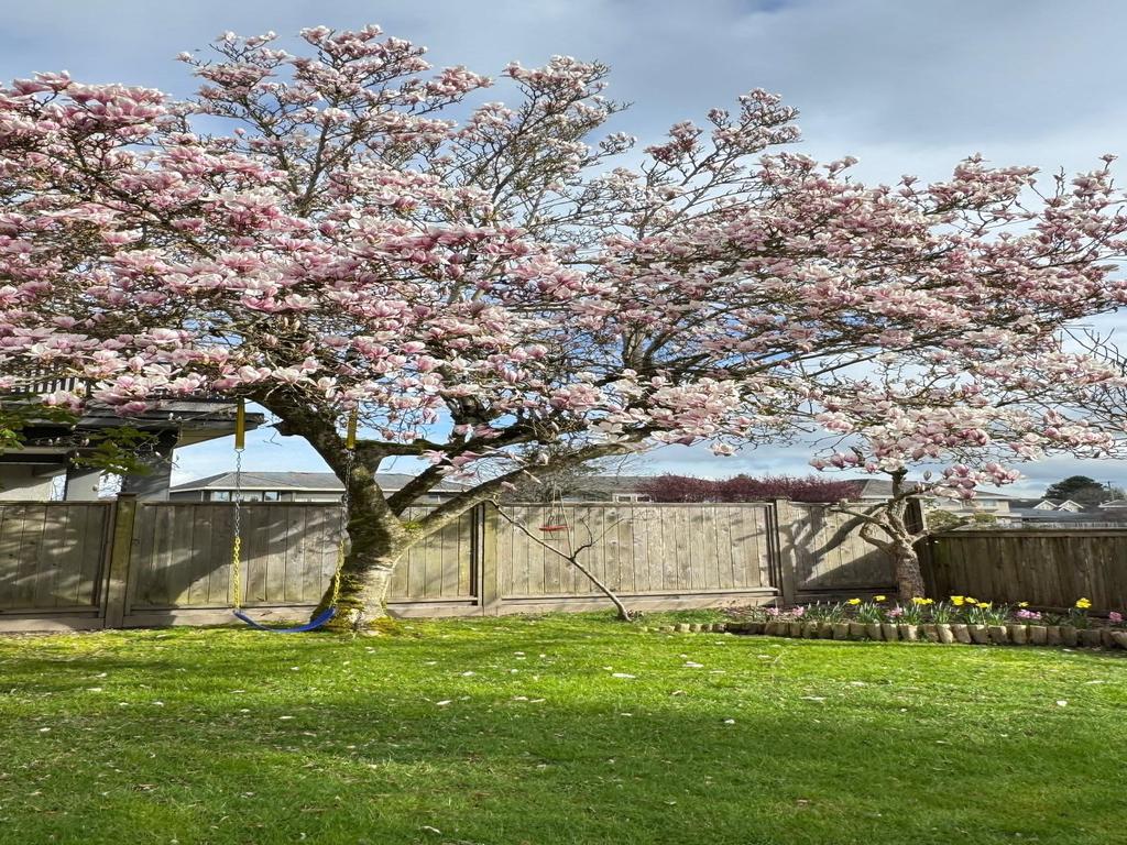 Listing Image for R3105190